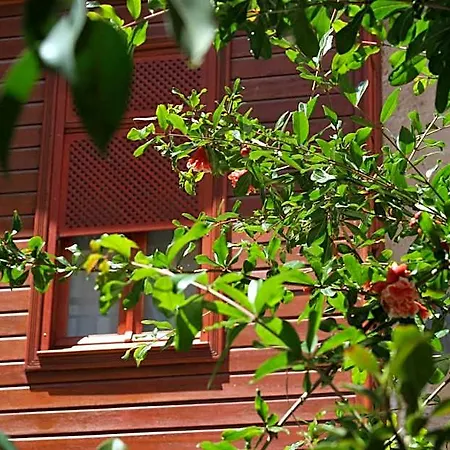 Ionas Boutique Hotel