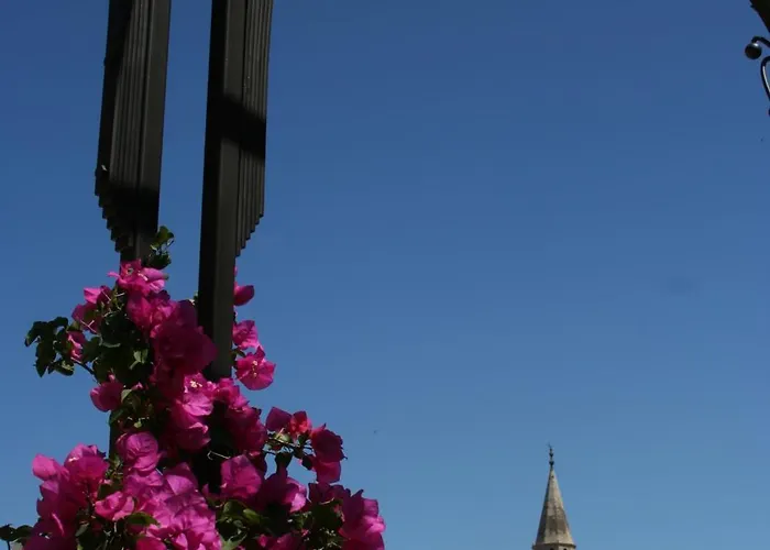 Ionas Boutique Chania (Crete)